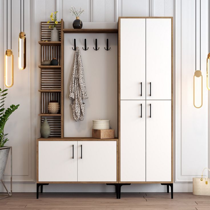 Dəhliz dolabı sadə